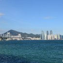 바다 어울림 이미지