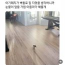 엠프레스짐 | 그냥 스킵잭 TMI 이야기(+)