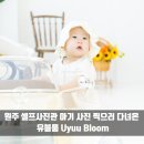 유블룸