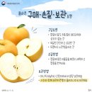 달콤한 밥상 이미지