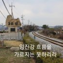 (북한노래) 임진강/양희은 이미지