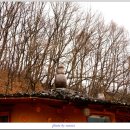 내려놓기펜션 이미지