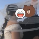 소피토제주 이미지