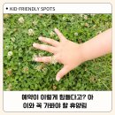 아세안자연휴양림 | 양주 아세안자연휴양림 숙박 후기/예약 성공 꿀팁/아이와 가볼만한 곳