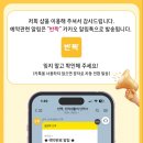 댕스타 이미지