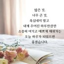 11월10일 일요일 출석부 이미지