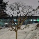 하늘샾