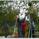 수광농장 이미지