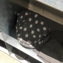 뉴뉴웨어 | 동대문 놀거리 | 가성비 쇼핑 뉴뉴웨어 신당점 방문 솔직 후기 📧 .•