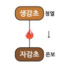 도서출판 신일북스