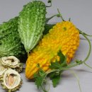 신기가족농장 이미지