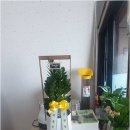 충주부동산이야기공인중개사사무소 이미지