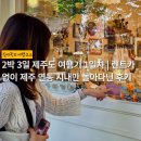 국수나무장기점 | 2박 3일 제주도 여행기 1일차 | 렌트카 없이 제주 연동 시내 구경 후기