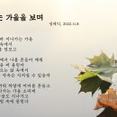 떠나가는 가을을 보며 - 정태익장로님 이미지