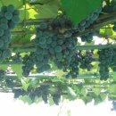 농기계공작실 이미지