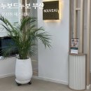 부산 | 부산 온천장 모공케어 스피큘 케어 누보드누보 부산 후기