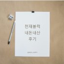 천재블럭 내돈내산 후기