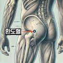 구한의원 | 임산부 환도선다란? 위치와 증상, 치료법 꿀팁 공개