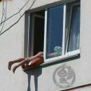 쎈텐 이미지