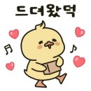 잭슨피자 서초점 이미지