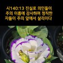 ♧시편 140 : 1~13(다윗의 시, 인도자를 따라 부르는 노래) 이미지