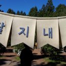 희망드림 행정사사무소 이미지