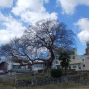 창원 진해현 관아 및 객사 유지 이미지