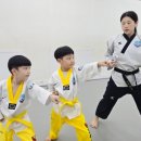 남도 태권도장 네이버블로그