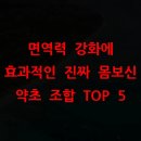 진위현길 | 면역력 강화에 효과적인 진짜 몸보신 약초 조합 TOP 5