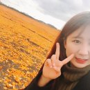 효준목장 이미지