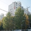 감일현대공인중개사사무소 이미지