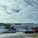 수미쥬얼리 | [하와이 여행] 6일차│에어랩 대여 렌탈공룡 후기│귀국 전 마지막 하와이 코나커피 퀸아망│호놀룰루...