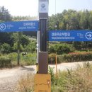 가야파출소 Daum카페