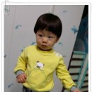 그루터기어린이집 이미지