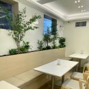 12.대추마늘 | 월곡동맛집 꼬숩다누룽지닭죽 월곡본점 종암동닭한마리 몸보신 추천 후기
