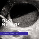 (주)바른정보시스템 이미지