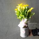 영남화분 이미지