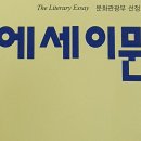 에세이문학 (2021년 여름호 기재) 김성진-완전과 불완전의 등식 이미지