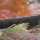 튼튼식당 이미지