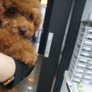 부산종합동물병원 이미지