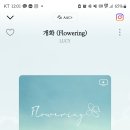 동해안생골뱅이 이미지
