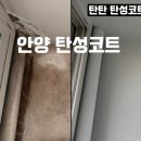 평촌부식