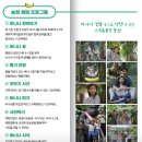 4살 아이와 제주도 체험 바나나 농장 스위트몽키 내돈내산 추천!