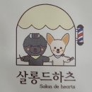 살롱드하츠 이미지