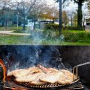 탄금호피크닉공원 2 이미지