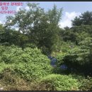 시묘보건진료소 이미지