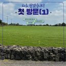 [살아봤_더니] 제주도 처음 가본 맛집 공개! 첫 방문 후 ‘또 갈 집’ 찐 후기