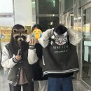 뚱냥한 하루 이미지
