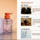 르네상스미용실 - 광진구 | 르네상스미용실