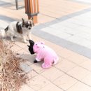 한국타이어역전점 이미지